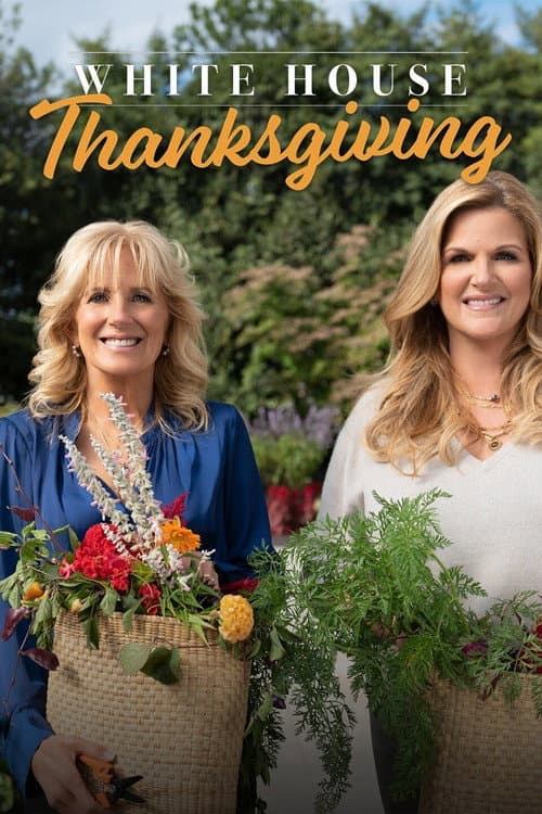 A White House Thanksgiving afişi