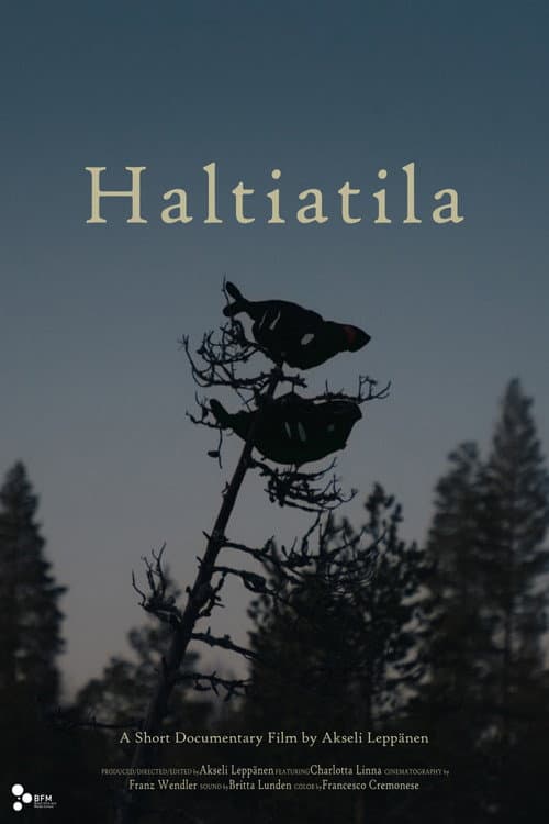 Haltiatila afişi