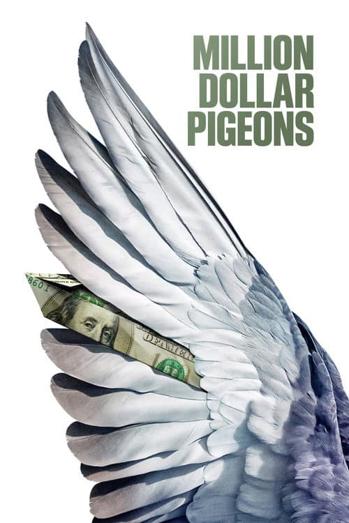 Million Dollar Pigeons afişi