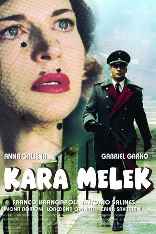 Kara Melek afişi