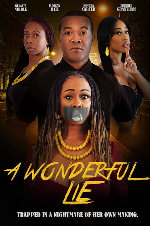 A Wonderful Lie afişi