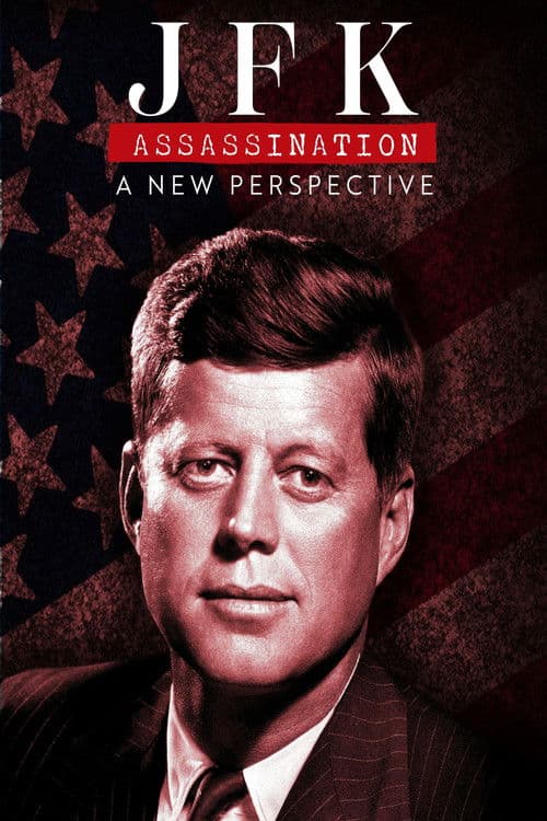 JFK Assassination: A New Perspective afişi