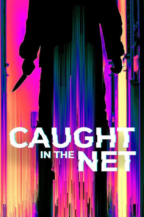 Caught in the Net afişi