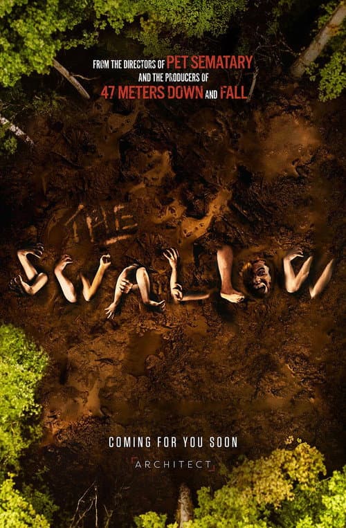 The Swallow afişi