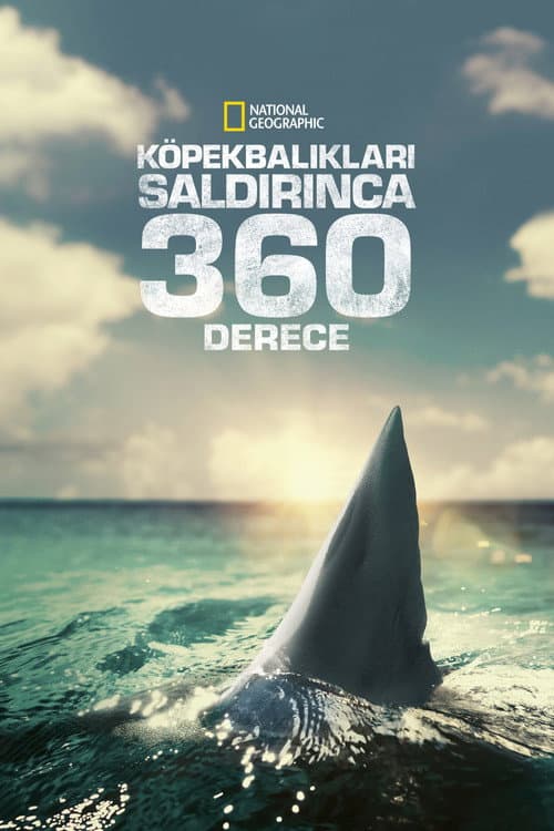 Köpekbalıkları Saldırınca 360 Derece afişi