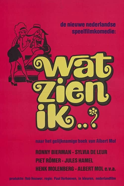 Wat zien ik afişi