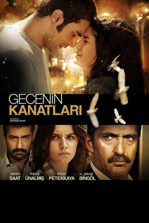 Gecenin Kanatları afişi
