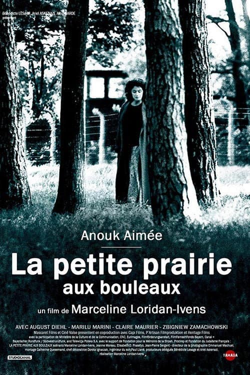 La petite prairie aux bouleaux afişi