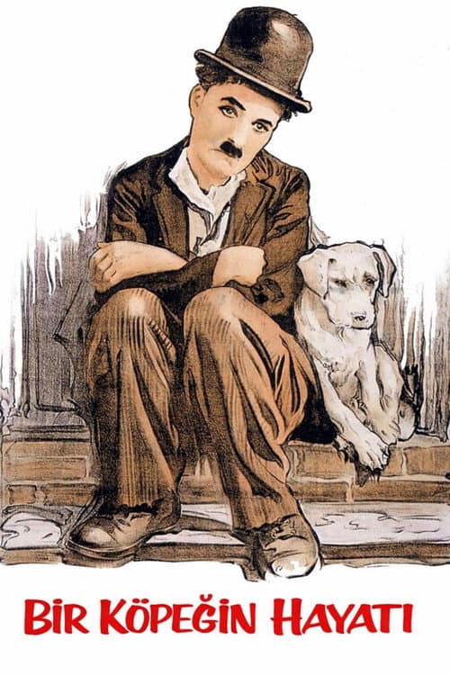 Bir Köpeğin Hayatı afişi