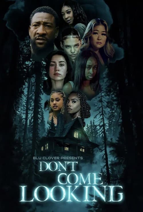 Don't Come Looking afişi