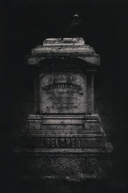 Beloved: Kiss It Goodbye afişi