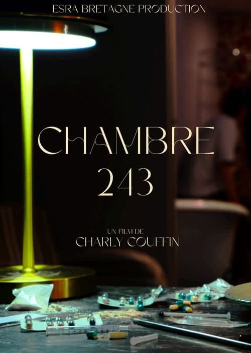 Chambre 243 afişi