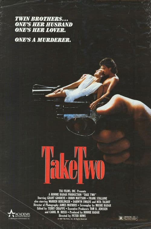 Take Two afişi