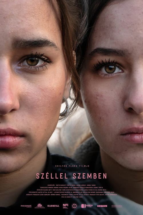 Széllel szemben afişi