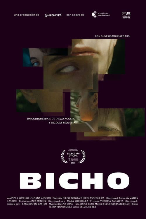 BICHO afişi