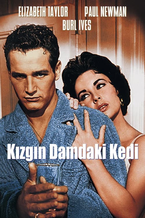 Kızgın Damdaki Kedi afişi
