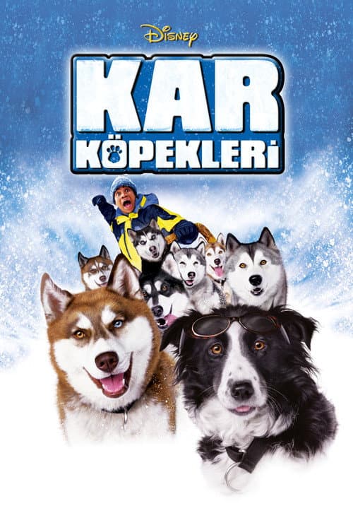 Kar Köpekleri afişi