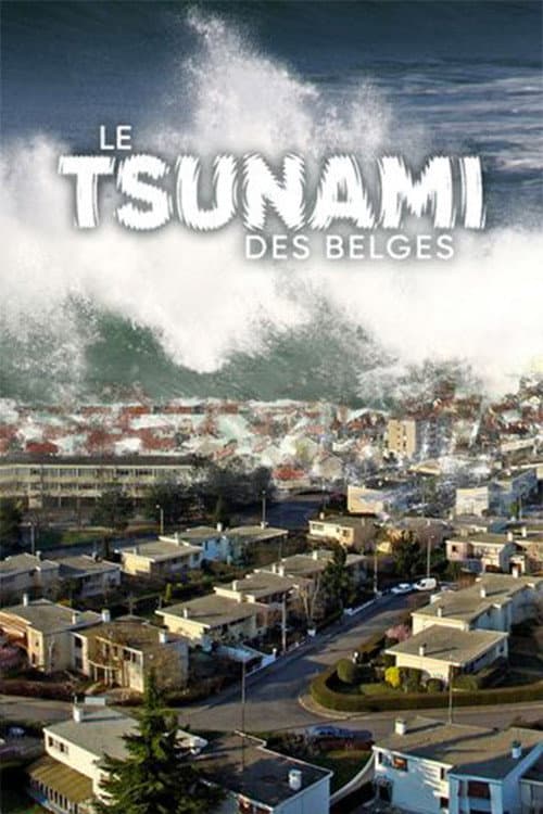 Le Tsunami des belges afişi