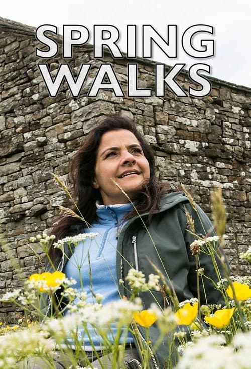 Spring Walks afişi