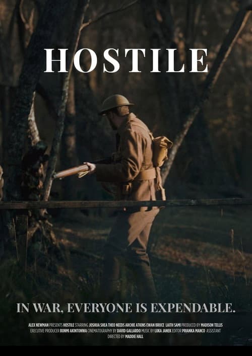 Hostile afişi