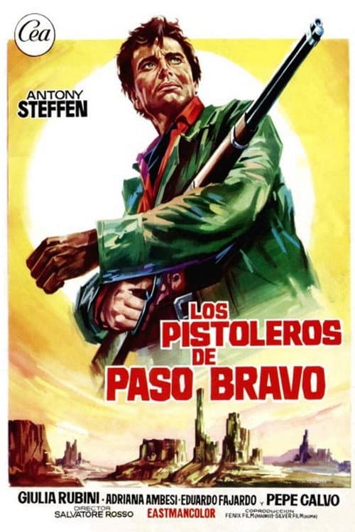 Uno straniero a Paso Bravo afişi