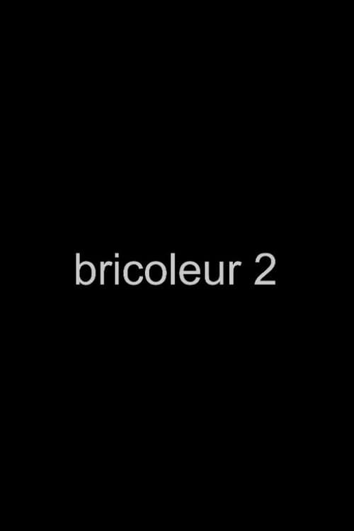 Bricoleur 2 afişi