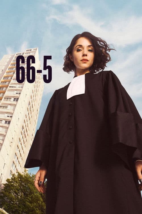 66-5 afişi