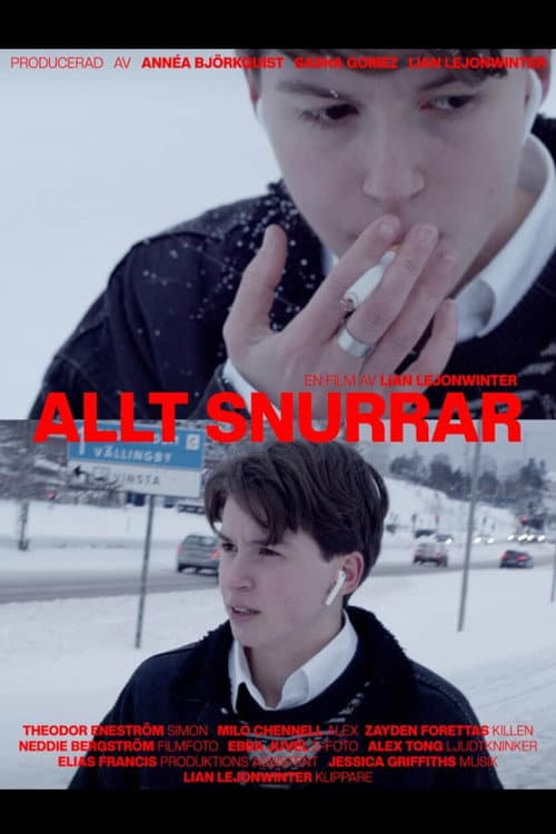 Allt Snurrar afişi