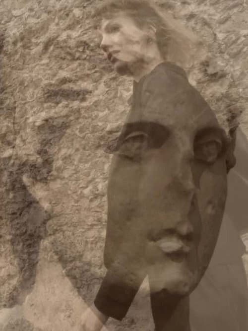 Adieu Vénus afişi