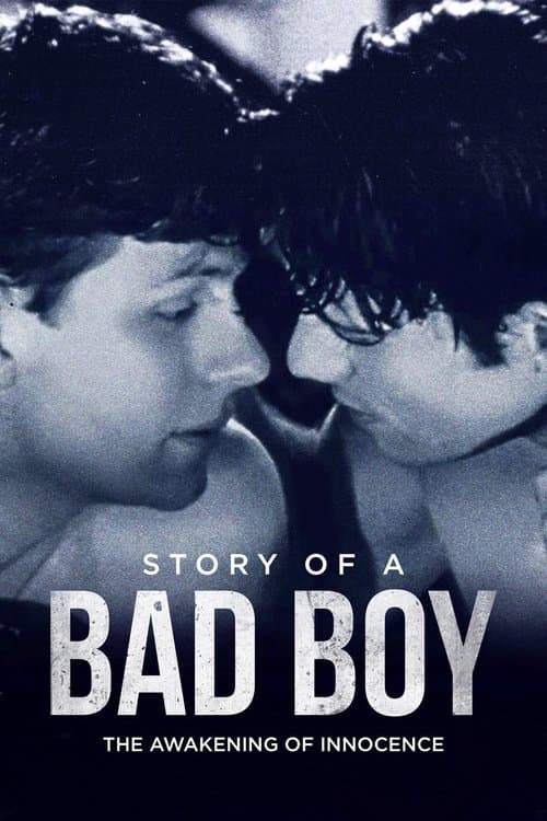 Story of a Bad Boy afişi