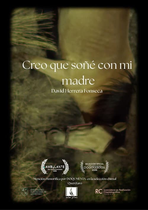 Creo que soñé con mi madre afişi