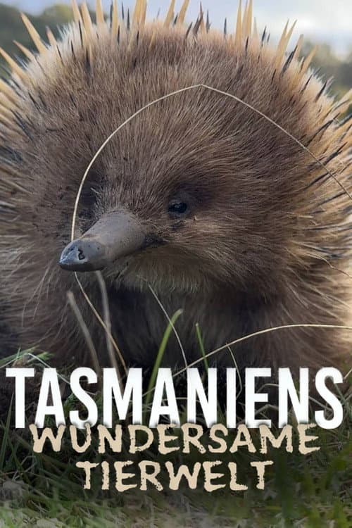 Tasmaniens wundersame Tierwelt afişi