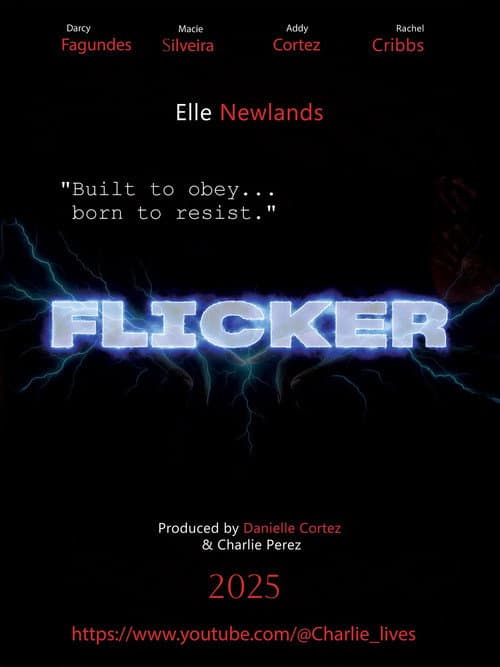 Flicker afişi
