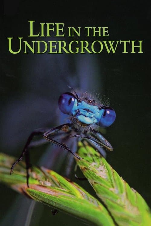 Life in the Undergrowth afişi