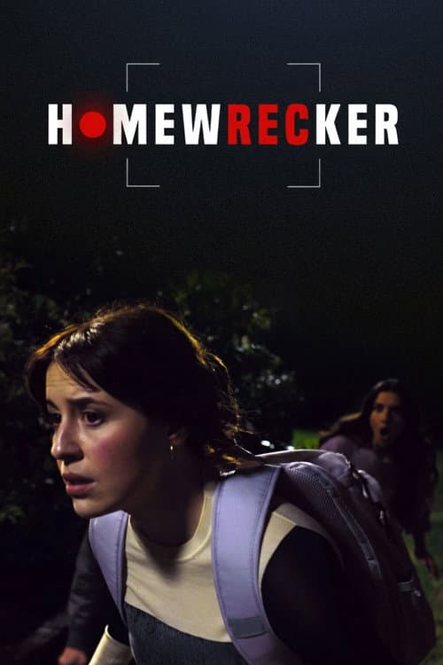 Homewrecker afişi