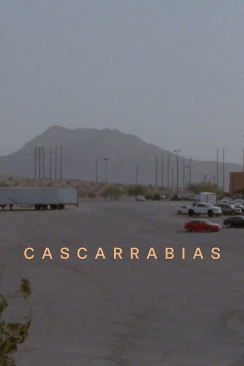 Cascarrabias afişi