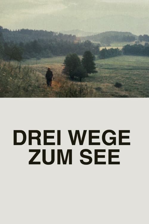 Drei Wege zum See afişi