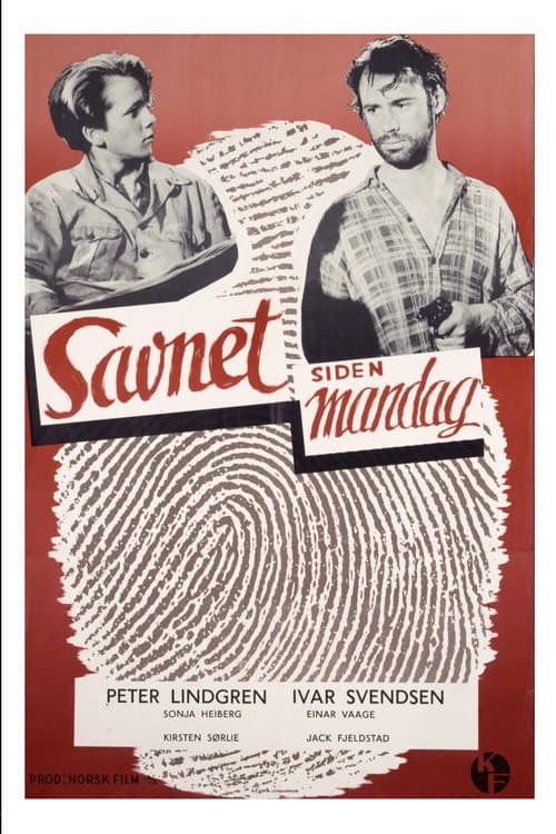 Savnet siden mandag afişi