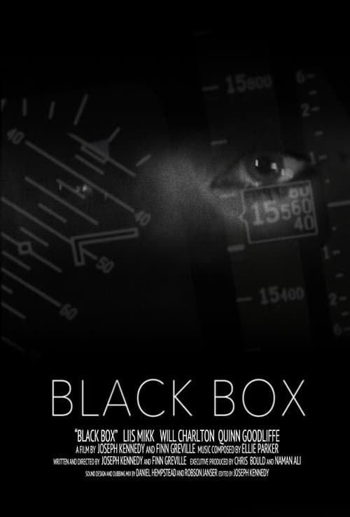 Black Box afişi
