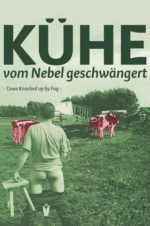 Kühe, vom Nebel geschwängert afişi