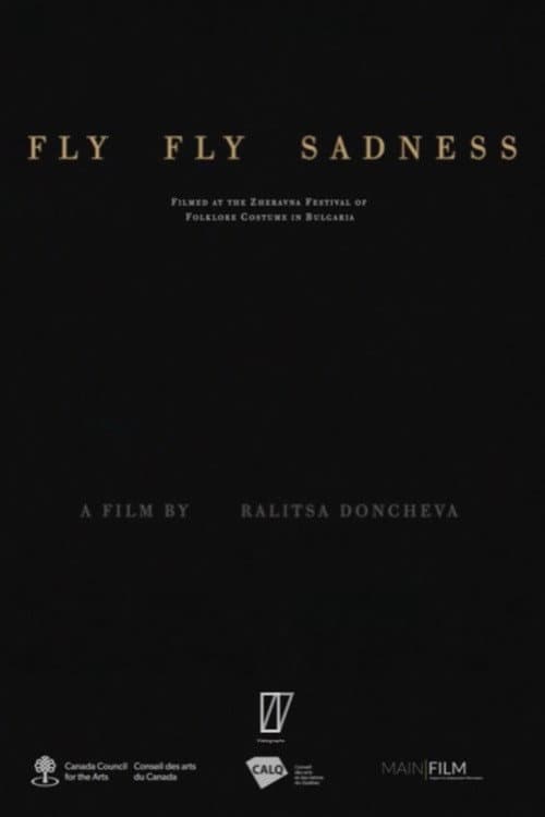 Fly Fly Sadness afişi