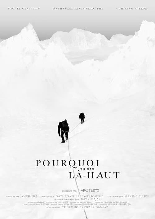 Pourquoi tu vas là-haut afişi