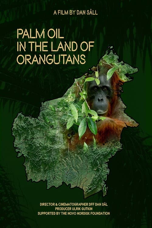Palmeolie i Orangutangernes land afişi