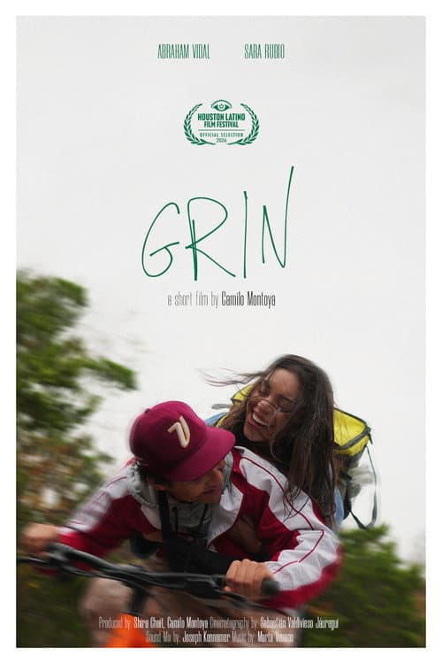 Grin afişi