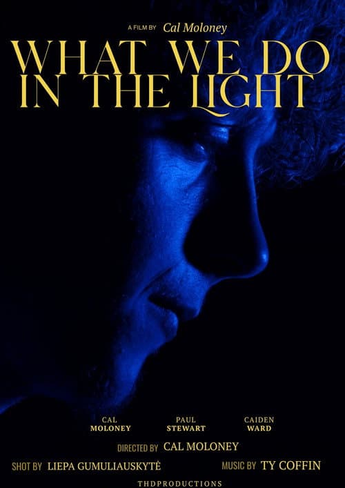 What We Do In The Light afişi
