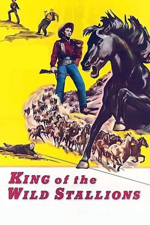 King of the Wild Stallions afişi