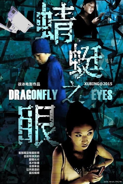 Dragonfly Eyes afişi