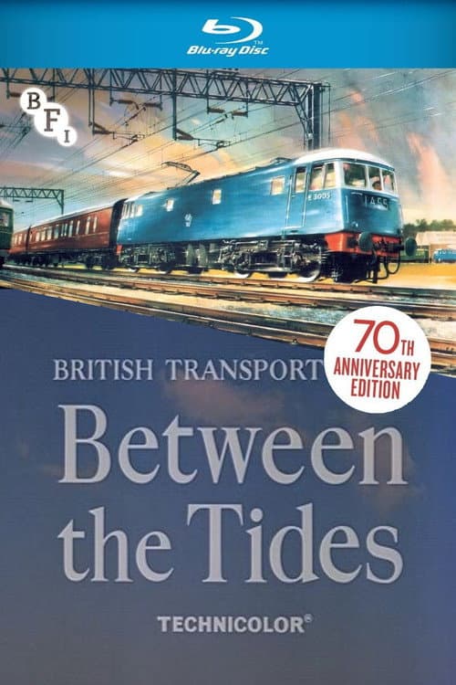 Between the Tides afişi