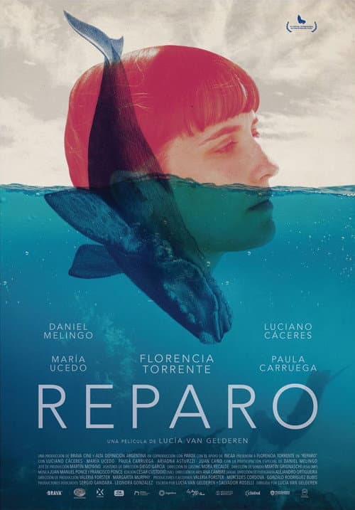 Reparo afişi