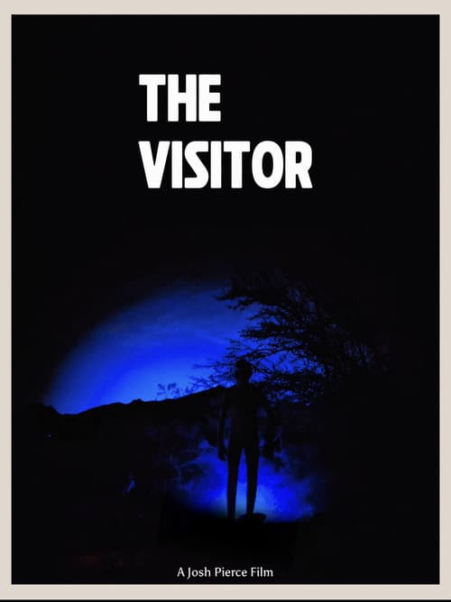The Visitor afişi